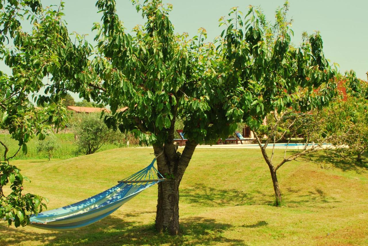 Villa Dorina Barban Buitenkant foto