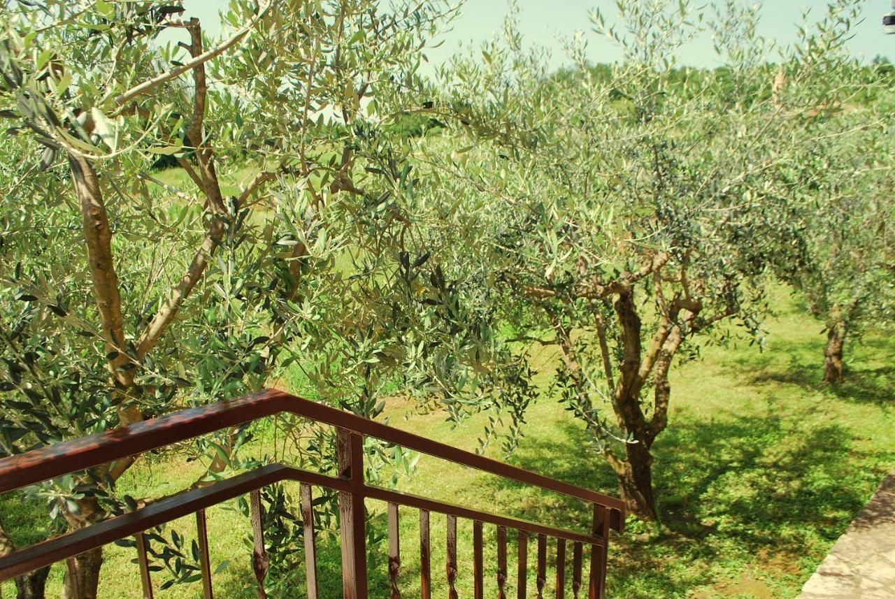 Villa Dorina Barban Buitenkant foto