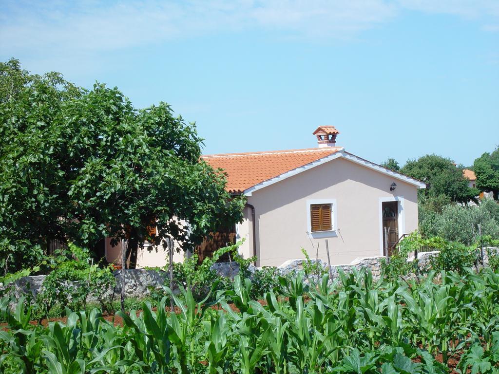 Villa Dorina Barban Kamer foto